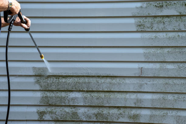 Best Same-Day Junk Removal Services  in Hanapepe, HI