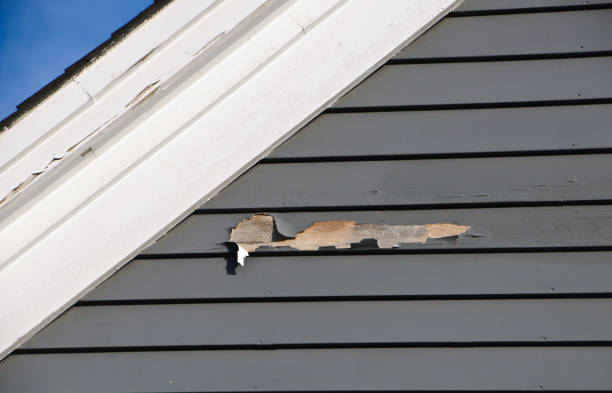 Trusted Hanapepe, HI Junk Removal Experts